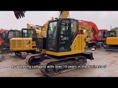 Cat 307